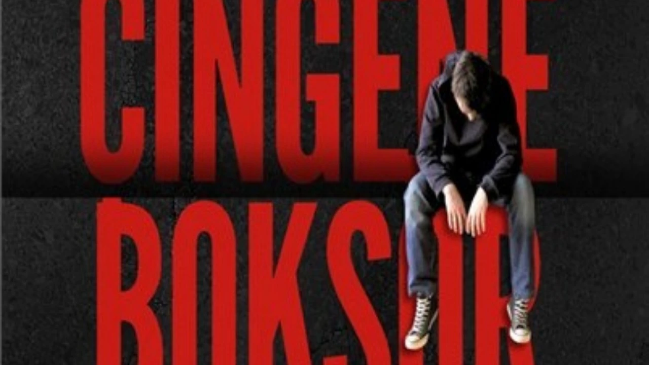 ÇİNGENE BOKSÖR - 11 Nisan 2025
