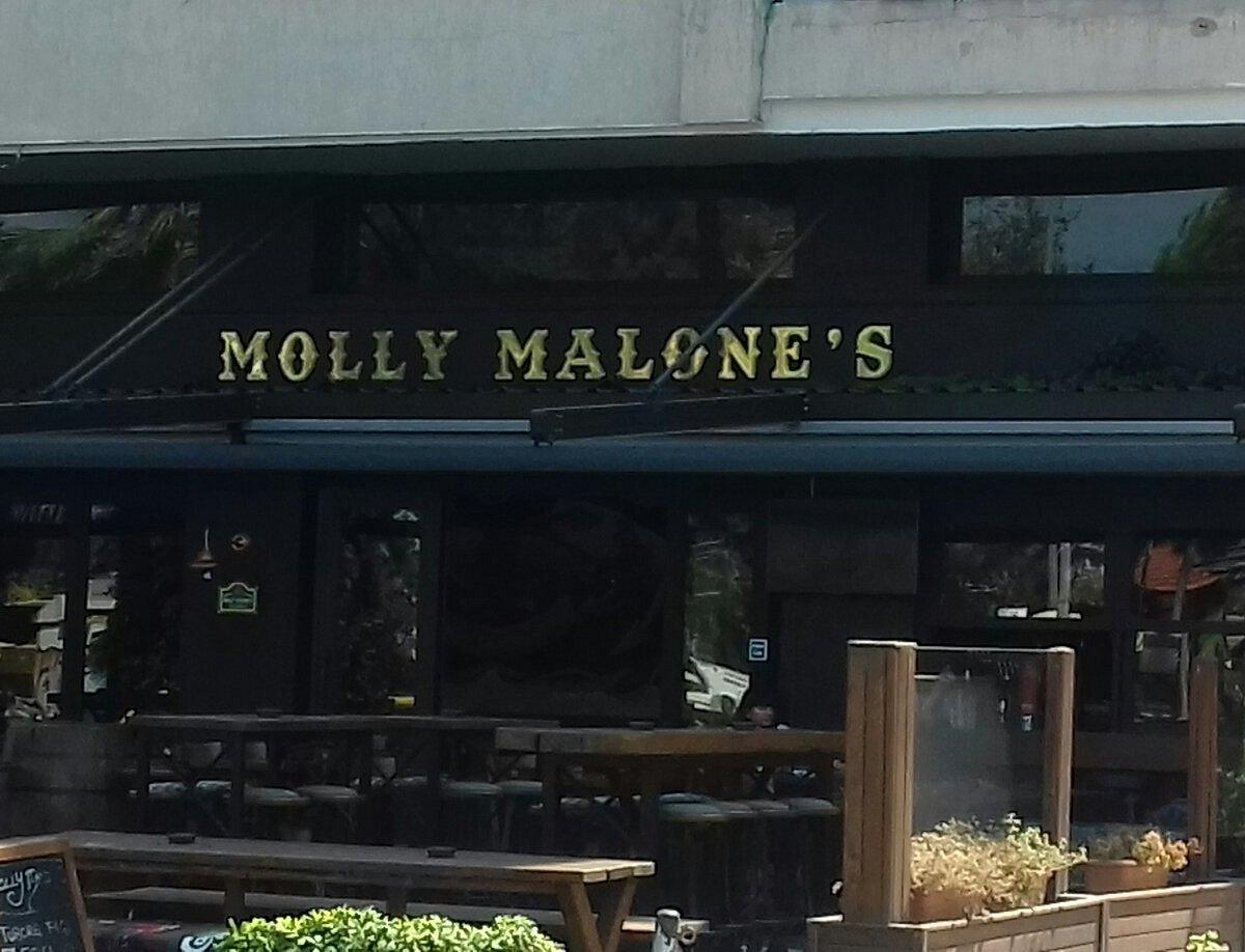 Molly Malone's Aydın