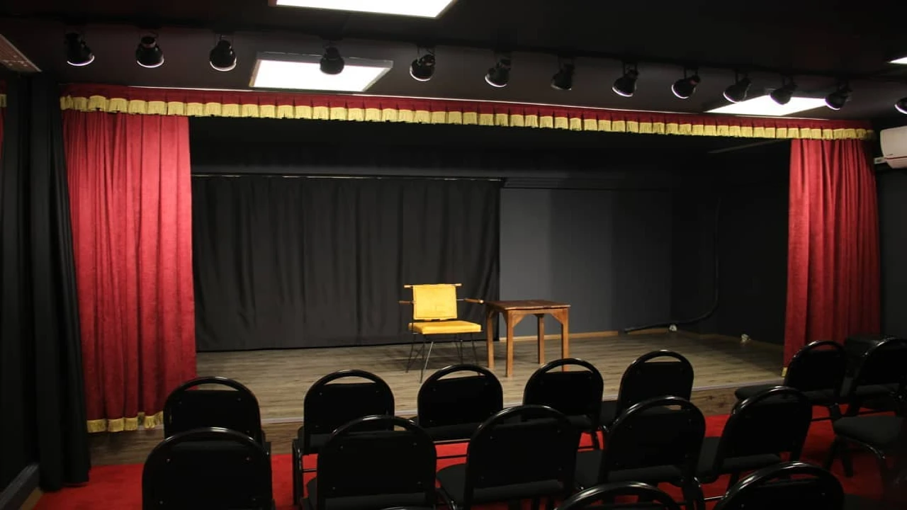 Tiyatrolog Akademi